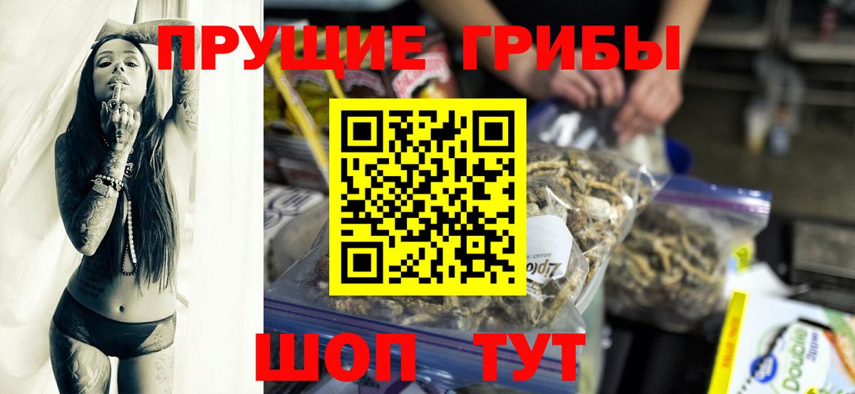 Гурьевск  Псилоцибиновые грибы Psilocybine cubensis  Вход с VPN 